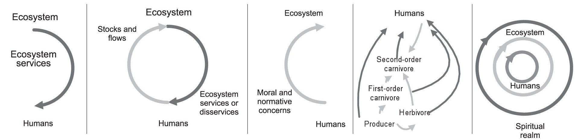 the relationship between humans and the environment