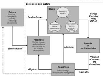 The framework for ecosystem service provision